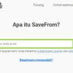 Cara Download Video TikTok dari SaveFrom TikTok