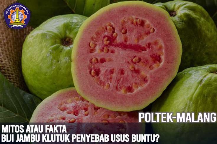 Mitos atau Fakta: Biji Jambu Klutuk Penyebab Usus Buntu?